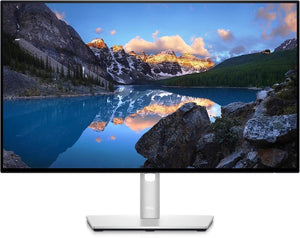 Dell UltraSharp U2422HE 23.8" 8 ms Full HD Pivot IPS 60 Hz Monitör