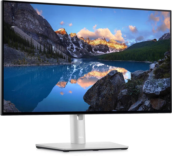Dell UltraSharp U2422HE 23.8" 8 ms Full HD Pivot IPS 60 Hz Monitör