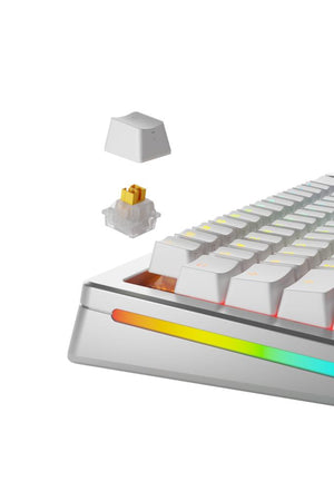 Glorious Panda Hall Effect Sessiz Mekanik Klavye Switch 36 Adet Outlet