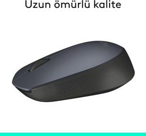 Logitech M170 910-004642 Optik Kablosuz Mouse