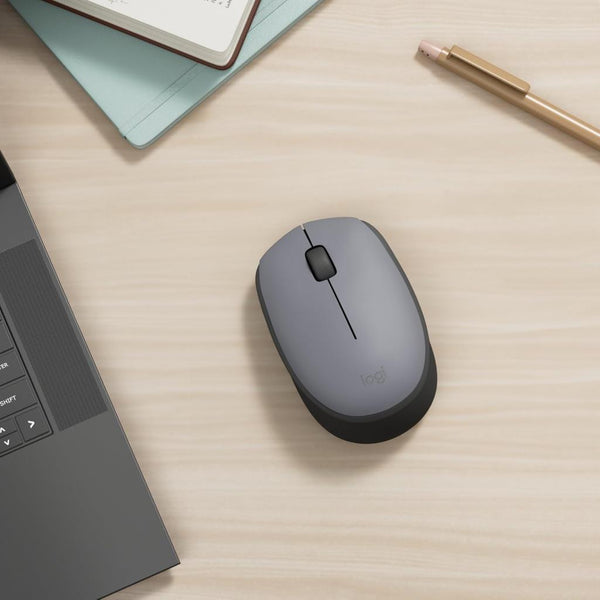 Logitech M170 910-004642 Optik Kablosuz Mouse