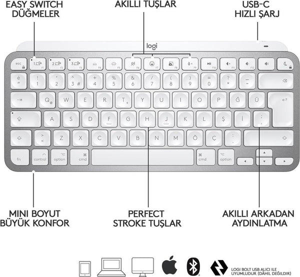 Logitech MX Keys Mini MAC İngilizce Kablosuz Klavye