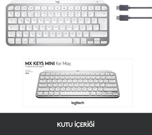 Logitech MX Keys Mini MAC İngilizce Kablosuz Klavye