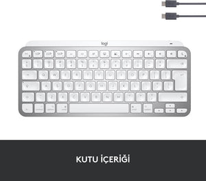 Logitech MX Keys Mini MAC İngilizce Kablosuz Klavye