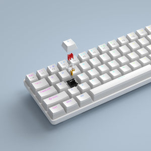 MageGee MK-BOX Pudding RGB %65 TKL Red Switch Kablolu Mekanik Oyuncu Klavyesi